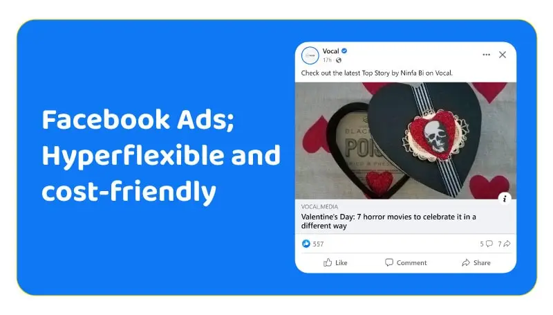 Facebook Ads; Hyperflexible and cost-friendly